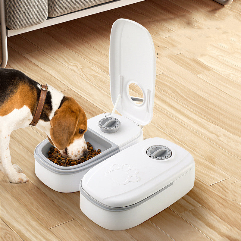 Distributore automatico di cibo per animali domestici, mangiatoia intelligente per gatti e cani con timer, ciotola in acciaio inox, alimentatore automatico per cani e gatti, accessori per animali domestici